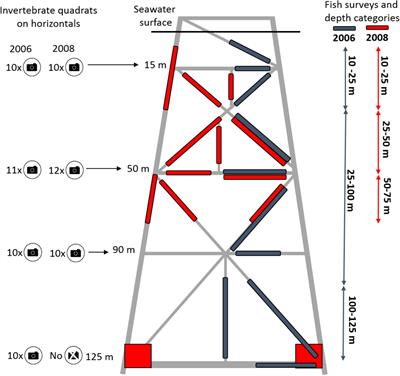 Some Old Movies Become Classics – A Case Study Determining the Scientific Value of ROV Inspection Footage on a Platform on Australia’s North West Shelf